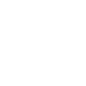 Pie chart image